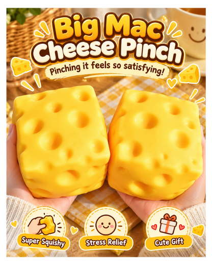 Cheddar Cheese Squishy
