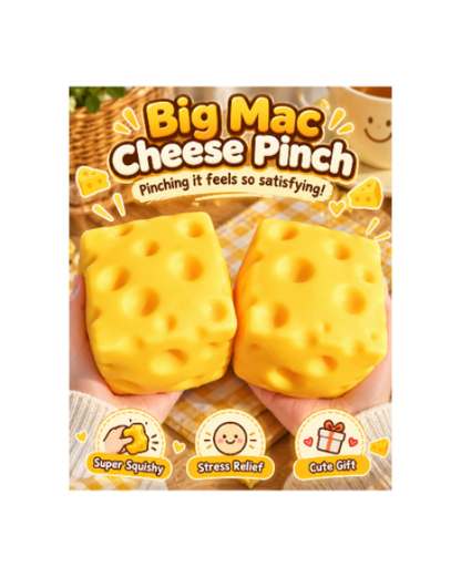 Cheddar Cheese Squishy